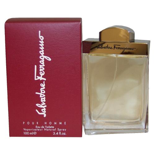 Ferragamo 100ml Edt M