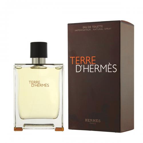 Terre D(hermes 100ml edt m